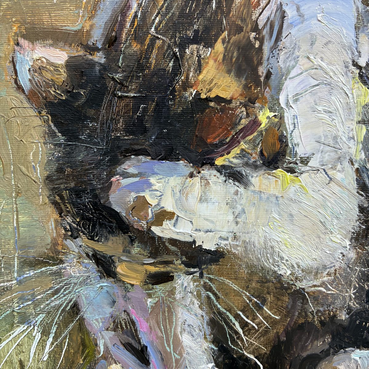 2026 · ¡MEOW!